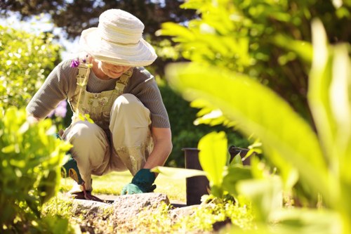 Garden thriving in Newham's temperate climate with healthy plants