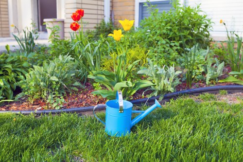 Safe and sustainable tree removal practices