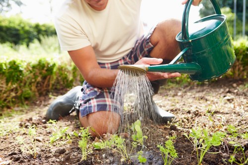 Operatives assessing a hedge before trimming