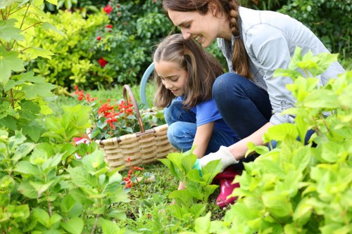 Healthy trees enhancing property value