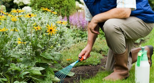 Eco-friendly garden clearance practices
