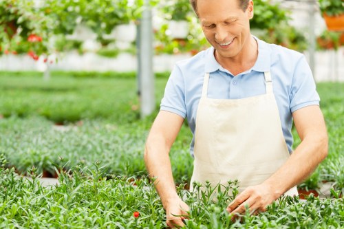 Eco-friendly lawn care practices in Newham