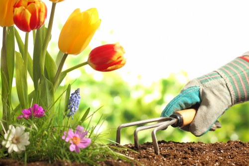 Eco-friendly hedge trimming practices