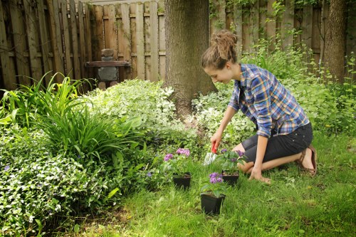 Gardener using hedge trimming tools in Newham