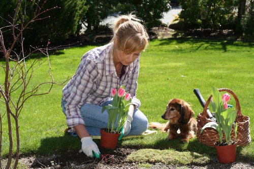 Balanced garden design with harmonious plant arrangements