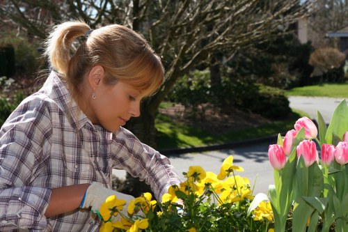 Technician using advanced lawn mowing equipment