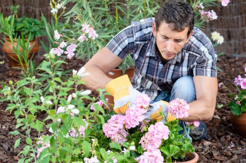 Public liability insurance certificate and documents for gardening company
