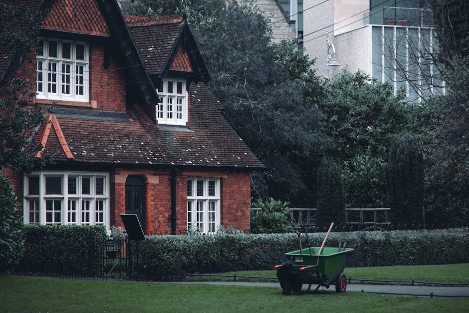 A person using a handheld hedge trimmer to trim a large, leafy green shrub in a well-maintained backyard garden. The garden features a paved surface with a wooden outdoor dining table and matching cha